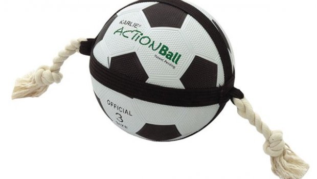 Dog Soccer ball