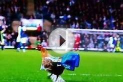 Fans of Relegated British Soccer Team Throw Chickens in