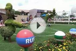 FIFA World Cup Viewing at Odyssey at Epcot; Soccer Goofy