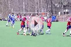 Ironbound Soccer Club - Deville New Jersey - soccer game