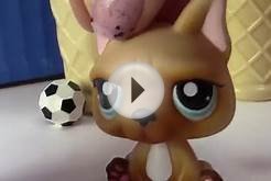 World Cup Pup Littlest Pet Shop LPS Playmobil Soccer ball